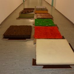 Sinnesparcour Betreten